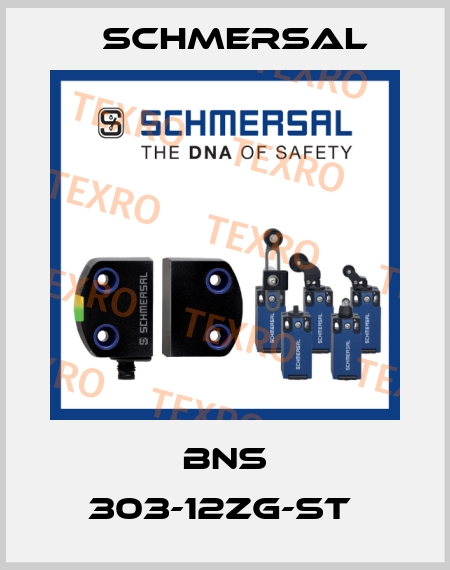 BNS 303-12ZG-ST  Schmersal