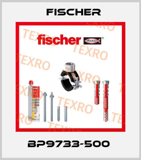 BP9733-500  Fischer