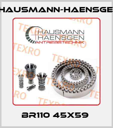 BR110 45X59  Hausmann-Haensgen