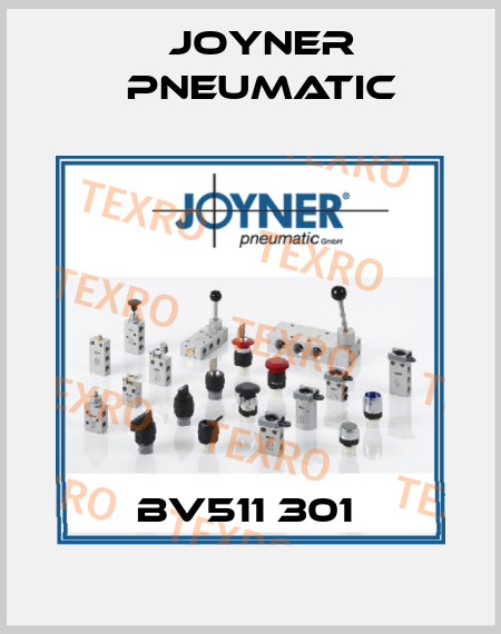 BV511 301  Joyner Pneumatic