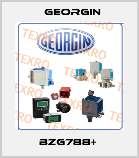 bzg788+  Georgin