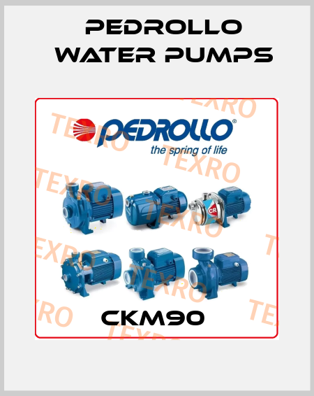 CKM90  Pedrollo Water Pumps