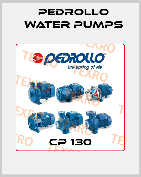 CP 130 Pedrollo Water Pumps