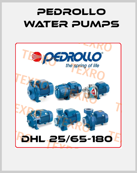 DHL 25/65-180  Pedrollo Water Pumps