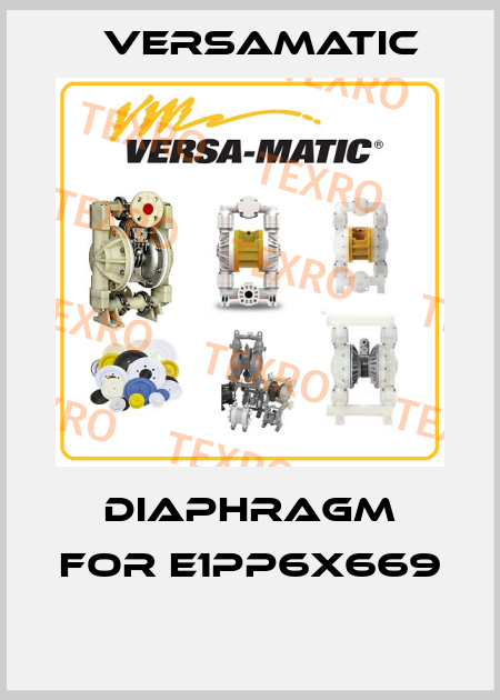 DIAPHRAGM FOR E1PP6X669  VersaMatic