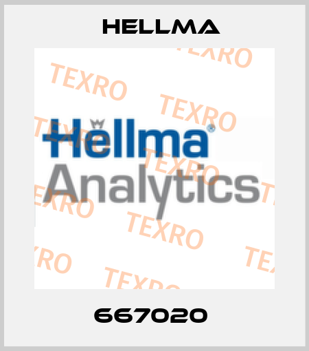 667020  Hellma