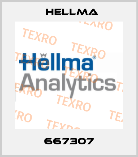 667307 Hellma