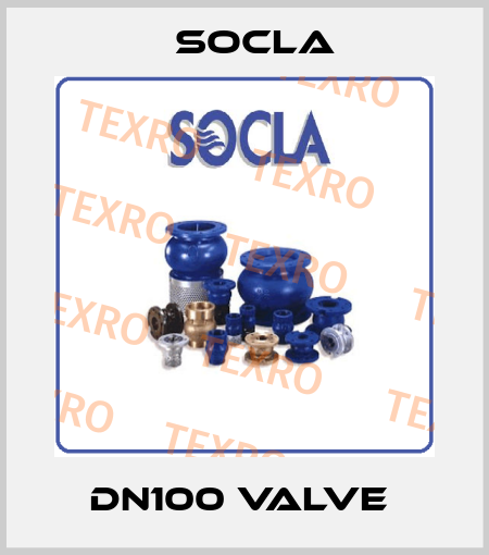 DN100 valve  Socla