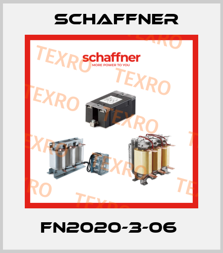 FN2020-3-06  Schaffner
