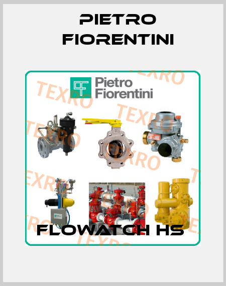 Flowatch HS  Pietro Fiorentini