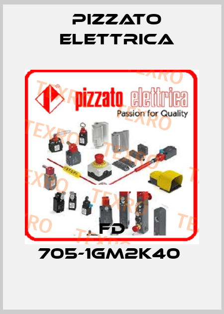 FD 705-1GM2K40  Pizzato Elettrica