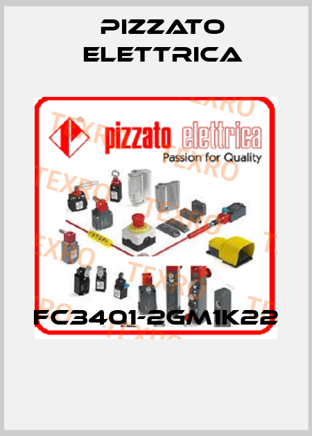 FC3401-2GM1K22  Pizzato Elettrica