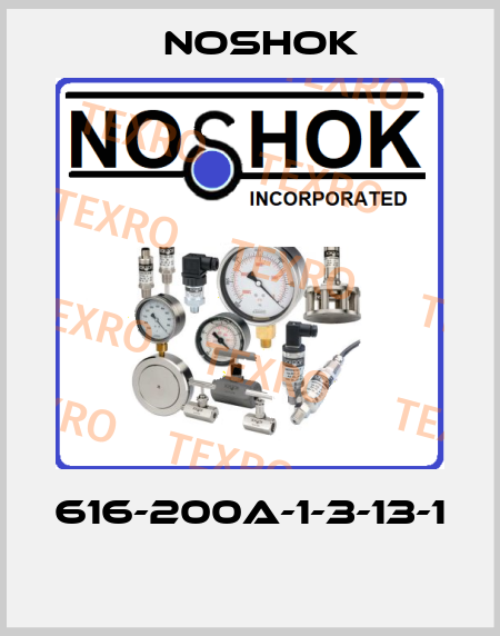 616-200A-1-3-13-1  Noshok