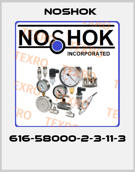 616-58000-2-3-11-3  Noshok