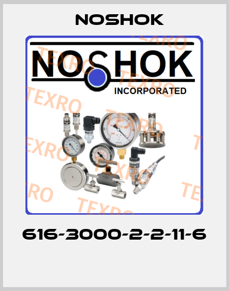 616-3000-2-2-11-6  Noshok