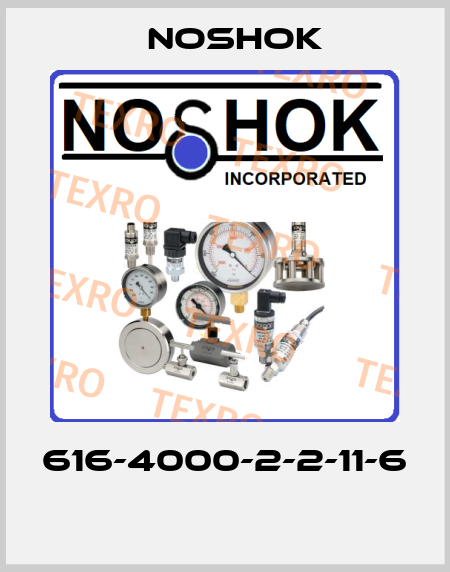 616-4000-2-2-11-6  Noshok