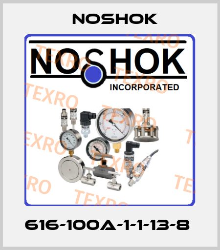 616-100A-1-1-13-8  Noshok