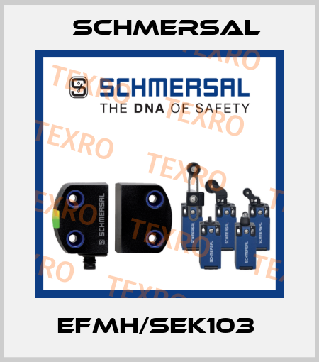 EFMH/SEK103  Schmersal