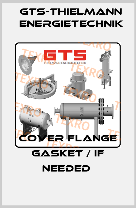 Cover Flange Gasket / if needed  GTS-Thielmann Energietechnik