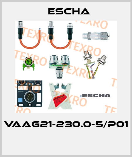 VAAG21-230.0-5/P01  Escha
