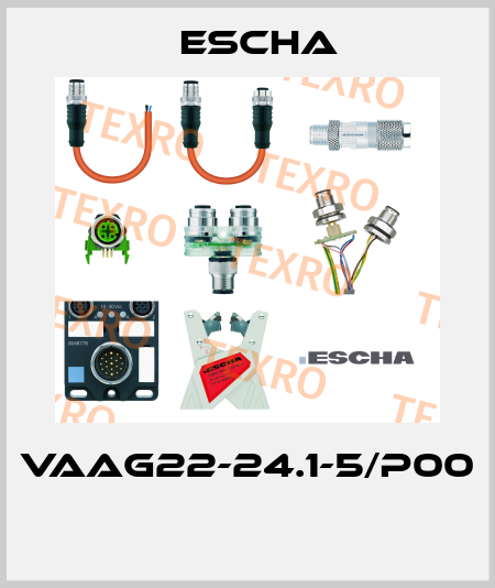 VAAG22-24.1-5/P00  Escha