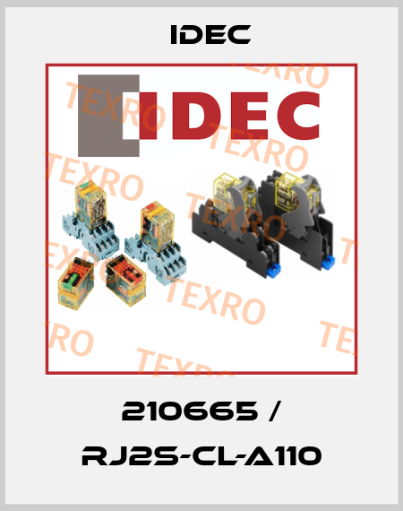 210665 / RJ2S-CL-A110 Idec