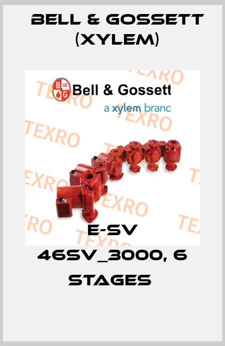 E-SV 46SV_3000, 6 STAGES  Bell & Gossett (Xylem)