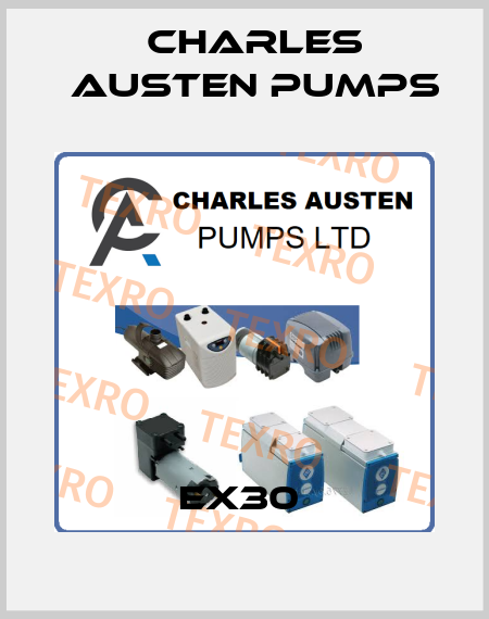 EX30  Charles Austen Pumps