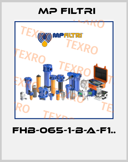 FHB-065-1-B-A-F1..  MP Filtri
