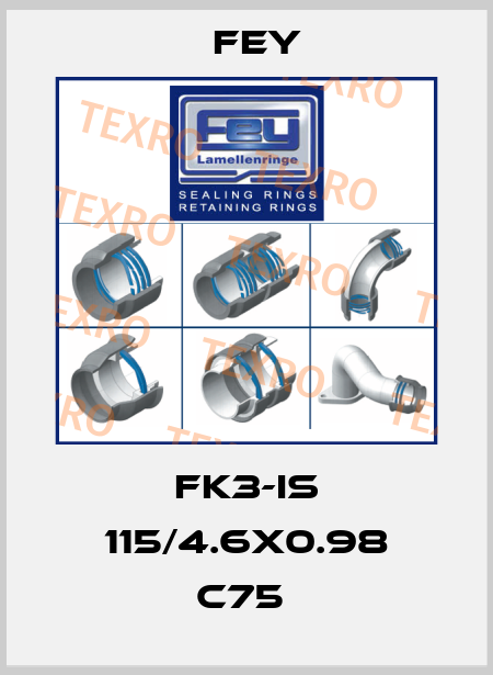 FK3-IS 115/4.6X0.98 C75  Fey