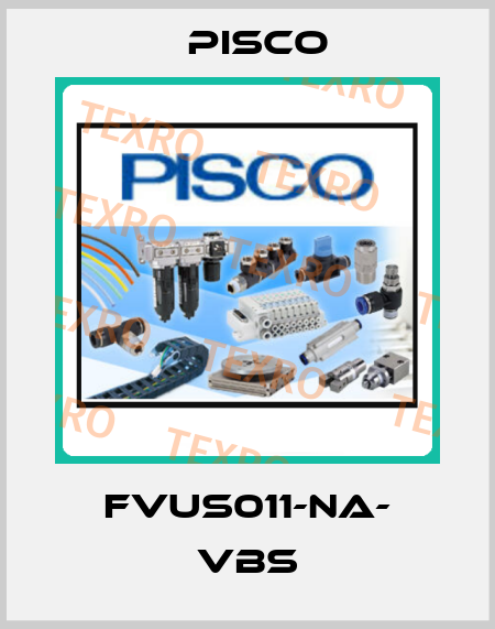 FVUS011-NA- VBS Pisco