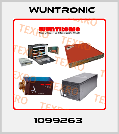 1099263  Wuntronic