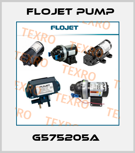 G575205A  Flojet Pump