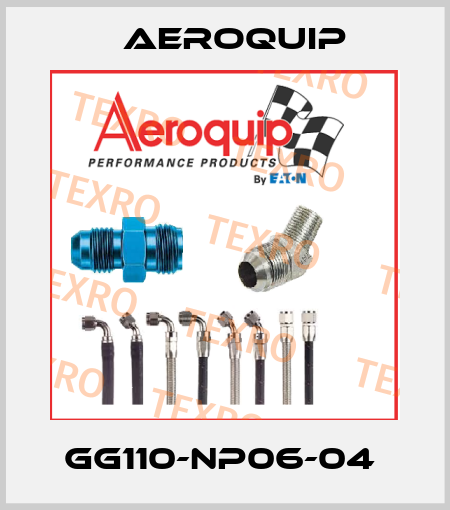 GG110-NP06-04  Aeroquip