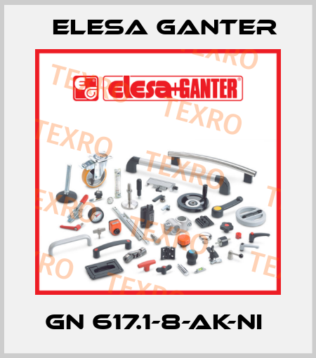 GN 617.1-8-AK-NI  Elesa Ganter