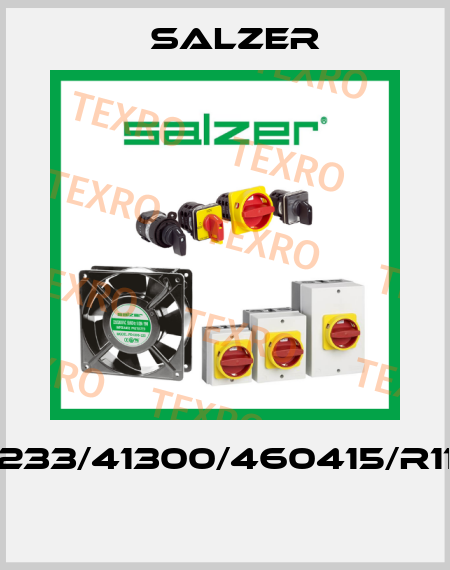 H233/41300/460415/R113  Salzer