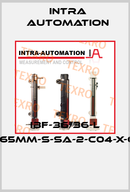 IBF-36/36-L D465MM-S-SA-2-C04-X-0-0  Intra Automation