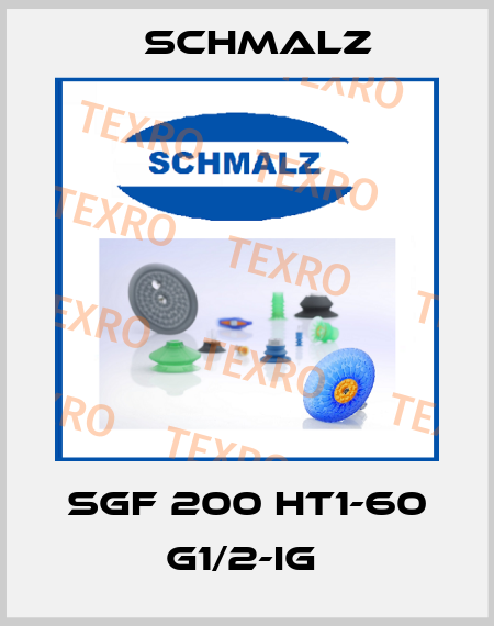 SGF 200 HT1-60 G1/2-IG  Schmalz