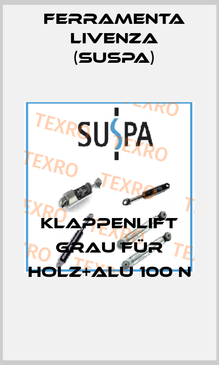 Klappenlift grau für Holz+Alu 100 N Ferramenta Livenza (Suspa)