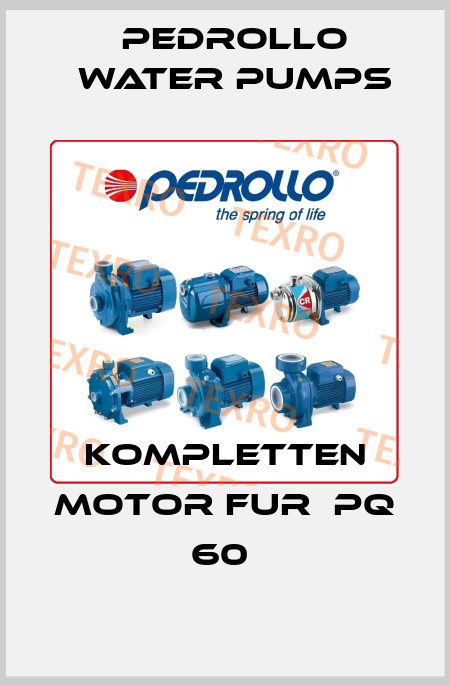 KOMPLETTEN MOTOR FUR  PQ 60  Pedrollo Water Pumps