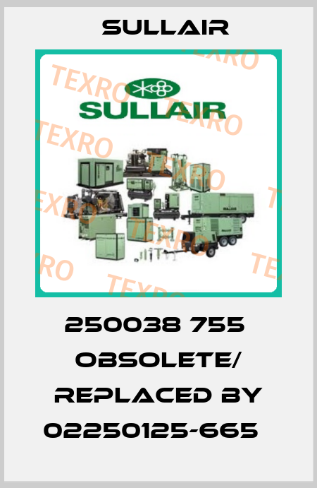 250038 755  obsolete/ replaced by 02250125-665   Sullair