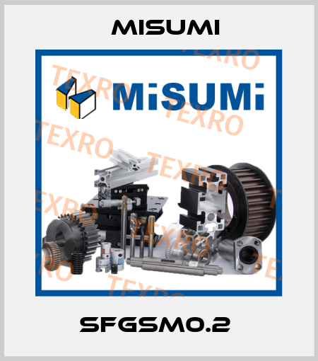 SFGSM0.2  Misumi