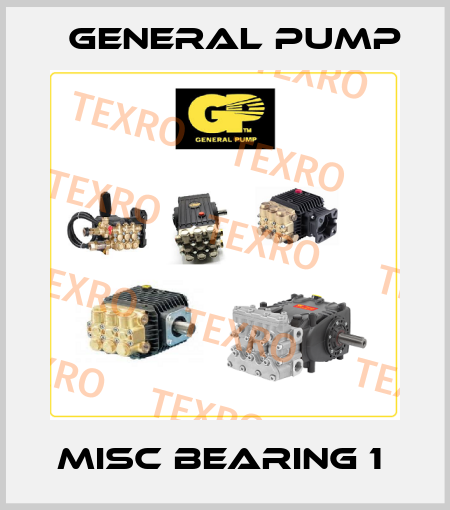 MISC BEARING 1  General Pump