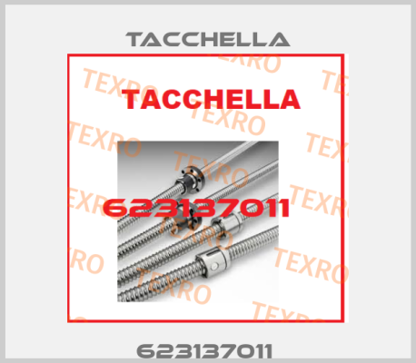 623137011  Tacchella