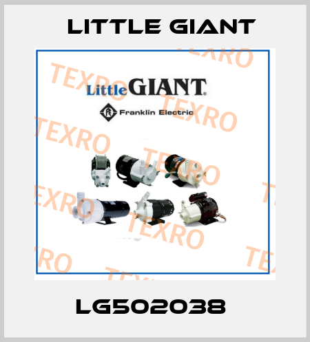 LG502038  Little Giant
