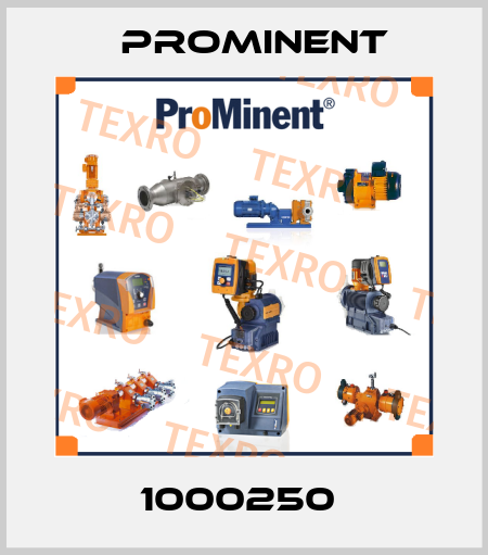 1000250  ProMinent