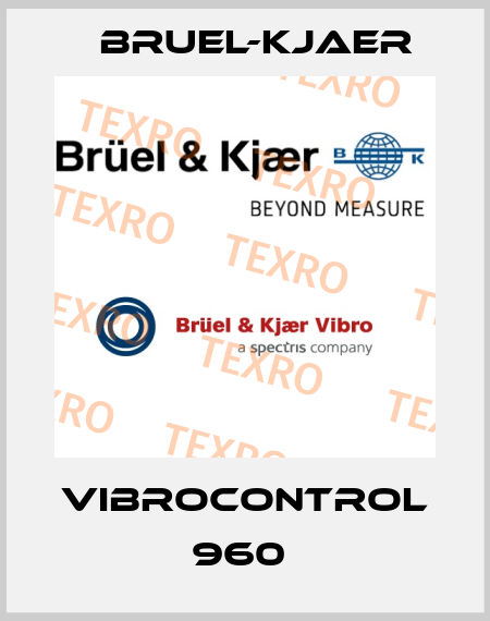 VibroControl 960  Bruel-Kjaer