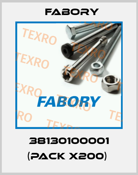 38130100001 (pack x200)  Fabory