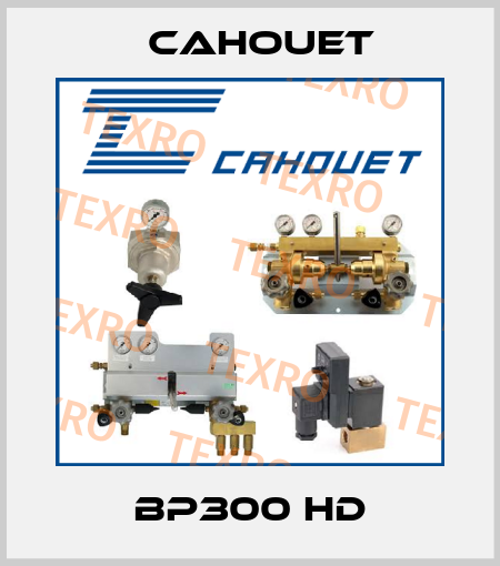 BP300 HD Cahouet