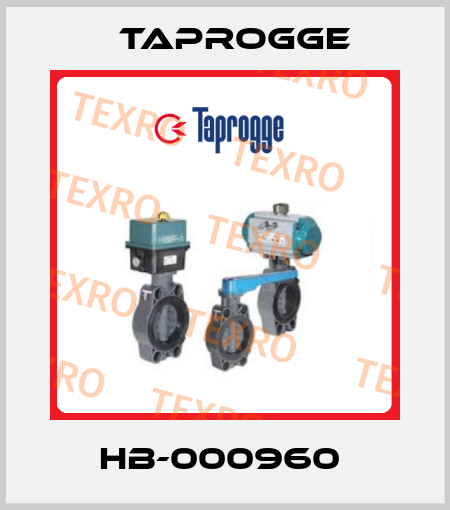 HB-000960  Taprogge